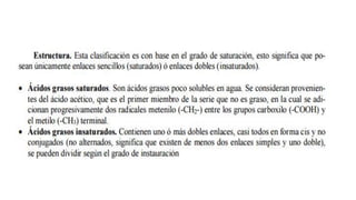 Lipidos