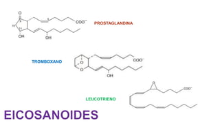 PROSTAGLANDINA
TROMBOXANO
LEUCOTRIENO
 