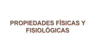 Lipidos