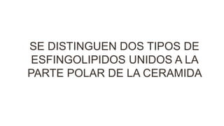 SE DISTINGUEN DOS TIPOS DE
ESFINGOLIPIDOS UNIDOS A LA
PARTE POLAR DE LA CERAMIDA
 