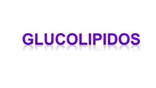 Lipidos
