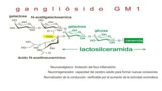 Neuroanalgésico: limitación del foco inflamatorio
Neurorregenerador: capacidad del cerebro adulto para formar nuevas conexiones
Normalizador de la conducción: verificable por el aumento de la actividad enzimática.
 