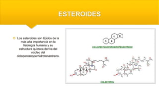 ESTEROIDES
 Los esteroides son lípidos de la
más alta importancia en la
fisiología humana y su
estructura química deriva del
núcleo del
ciclopentanoperhidrofenantreno.
 