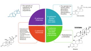 • Testosterona
y estradiol.
• Esteroides de las
suprarrenales,
glucocorticoides
como la cortisona y
el cortisol y
mineralocorticoides
como la
desoxicorticosterona
(DOCA) y la
aldosterona.
• Por ejemplo los
ácidos cólico,
glicocólico,
taurocólico,
desoxicólico y
litocólico
• Por ejemplo el
colesterol y la
vitamina D
(ergosterol).
8 carbonos:
Esteroles
5 carbonos:
Ácidos
biliares y
sus sales
0 carbonos:
Hormonas
sexuales
masculinas
y femeninas
2 carbonos:
Hormonas
 