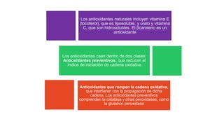 Los antioxidantes naturales incluyen vitamina E
(tocoferol), que es liposoluble, y urato y vitamina
C, que son hidrosolubles. El βcaroteno es un
antioxidante
Los antioxidantes caen dentro de dos clases:
Antioxidantes preventivos, que reducen el
índice de iniciación de cadena oxidativa
Antioxidantes que rompen la cadena oxidativa,
que interfieren con la propagación de dicha
cadena. Los antioxidantes preventivos
comprenden la catalasa y otras peroxidasas, como
la glutatión peroxidasa
 