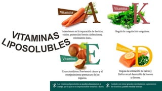 Lipidos