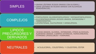 • ACILGLICEROL, COLESTEROL Y COLESTERIL ÉSTER
• GRASAS (ÉSTERES ÁCIDOS GRASOS CON GLICEROL).
• CERAS (ÉSTERES DE ÁCIDOS GRASOS CON ALCOHOLES
MONOHÍDRICOS).
SIMPLES
• FOSFOLIPIDOS (GLICEROFOSFOLIPIDOS Y ESFINGOFOSFOLIPIDOS)
• GLUCOESFINGOLIPIDOS (ÁCIDOS GRASOS, ESFINGOSINA Y
CARBOHIDRATOS).
• LIPOPROTEÍNAS, SULFOLÍPIDOS Y AMINOLÍPIDOS.
COMPLEJOS
• ÁCIDOS GRASOS, GLICEROL, ESTEROIDES, OTROS ALCOHOLES,
ALDEHÍDOS GRASOS, CUERPOS CETÓNICOS, HIDROCARBUROS,
VITAMINAS LIPOSOLUBLES Y HORMONAS.
LIPIDOS
PRECURSORES Y
DERIVADOS
NEUTRALES
 