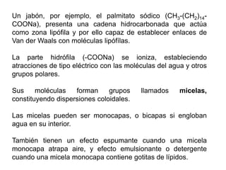 Un jabón, por ejemplo, el palmitato sódico (CH3-(CH2)14-
COONa), presenta una cadena hidrocarbonada que actúa
como zona lipófila y por ello capaz de establecer enlaces de
Van der Waals con moléculas lipófílas.
La parte hidrófila (-COONa) se ioniza, estableciendo
atracciones de tipo eléctrico con las moléculas del agua y otros
grupos polares.
Sus moléculas forman grupos llamados micelas,
constituyendo dispersiones coloidales.
Las micelas pueden ser monocapas, o bicapas si engloban
agua en su interior.
También tienen un efecto espumante cuando una micela
monocapa atrapa aire, y efecto emulsionante o detergente
cuando una micela monocapa contiene gotitas de lípidos.
 