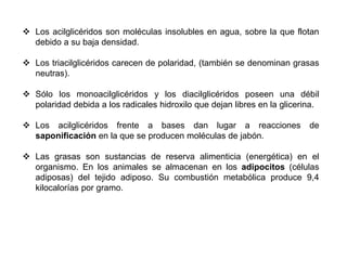 Los acilglicéridos son moléculas insolubles en agua, sobre la que flotan
debido a su baja densidad.
 Los triacilglicéridos carecen de polaridad, (también se denominan grasas
neutras).
 Sólo los monoacilglicéridos y los diacilglicéridos poseen una débil
polaridad debida a los radicales hidroxilo que dejan libres en la glicerina.
 Los acilglicéridos frente a bases dan lugar a reacciones de
saponificación en la que se producen moléculas de jabón.
 Las grasas son sustancias de reserva alimenticia (energética) en el
organismo. En los animales se almacenan en los adipocitos (células
adiposas) del tejido adiposo. Su combustión metabólica produce 9,4
kilocalorías por gramo.
 
