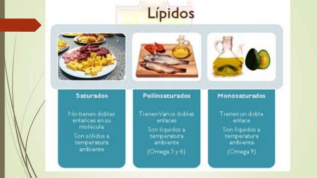 lipidos alimentos lipidos lipidos alimentos lipidos