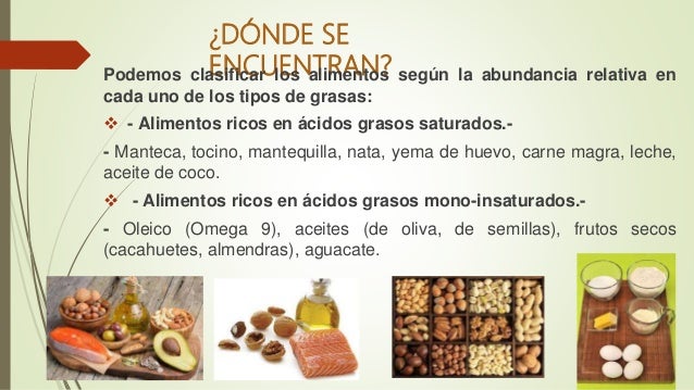 lipidos alimentos lipidos lipidos alimentos lipidos