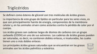 Triglicéridos
Se definen como ésteres de glicerol con tres moléculas de ácidos grasos.
La importancia de este grupo de lípidos en particular para los seres vivos, es
que son principalmente fuente de energía, componentes de la membrana
celular y, en los animales sirven como aislantes contra la pérdida de calor por el
cuerpo.
Los ácidos grasos son cadenas largas de átomos de carbono con un grupo
carboxilo (COOH) en uno de sus extremos. Las cadenas de ácidos grasos pueden
ser saturadas, es decir, no contienen dobles enlaces, e insaturadas, las cuales
tienen uno o más dobles enlaces.
Los principales ácidos grasos saturados que se encuentran en las grasas
animales son los ácidos palmítico y esteárico.
 