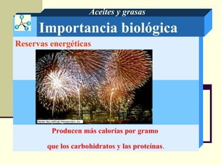 Importancia biológica
Aceites y grasas
Reservas energéticas
Producen más calorías por gramo
que los carbohidratos y las proteínas.
 