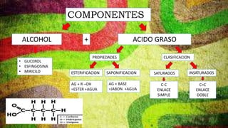 COMPONENTES
ALCOHOL
• GLICEROL
• ESFINGOSINA
• MIRICILO
PROPIEDADES
ESTERIFICACION SAPONIFICACION
ACIDO GRASO+
CLASIFICACION
SATURADOS INSATURADOS
C-C
ENLACE
SIMPLE
C=C
ENLACE
DOBLE
AG + R –OH
=ESTER +AGUA
AG + BASE
=JABON +AGUA
 