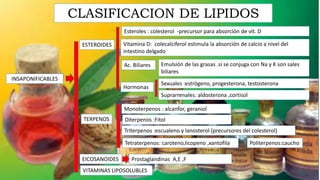 CLASIFICACION DE LIPIDOS
INSAPONIFICABLES
ESTEROIDES
TERPENOS
EICOSANOIDES
VITAMINAS LIPOSOLUBLES
Esteroles : colesterol -precursor para absorción de vit. D
Vitamina D: colecalciferol estimula la absorción de calcio a nivel del
intestino delgado
Ac. Biliares
Hormonas
Emulsión de las grasas .si se conjuga con Na y K son sales
biliares
Sexuales :estrógeno, progesterona, testosterona
Suprarrenales: aldosterona ,cortisol
Monoterpenos : alcanfor, geraniol
Diterpenos :Fitol
Triterpenos :escualeno y lanosterol (precursores del colesterol)
Tetraterpenos: caroteno,licopeno ,xantofila Politerpenos:caucho
Prostaglandinas A,E ,F
 