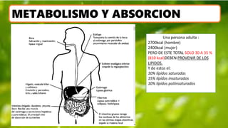 METABOLISMO Y ABSORCION
Una persona adulta :
2700kcal (hombre)
2400kcal (mujer)
PERO DE ESTE TOTAL SOLO 30 A 35 %
(810 kcal)DEBEN PROVENIR DE LOS
LIPIDOS.
Y de estos el:
10% lípidos saturadas
15% lípidos insaturados
10% lípidos poliinsaturados
 