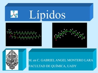 Lípidos
M. en C. GABRIEL ANGEL MONTERO LARA
FACULTAD DE QUÍMICA, UADY
 