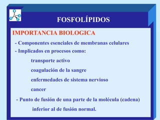 FOSFOLÍPIDOS
IMPORTANCIA BIOLOGICA
- Componentes esenciales de membranas celulares
- Implicados en procesos como:
transporte activo
coagulación de la sangre
enfermedades de sistema nervioso
cancer
- Punto de fusión de una parte de la molécula (cadena)
inferior al de fusión normal.
 