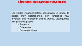 LÍPIDOS INSAPONIFICABLES
Los lípidos insaponificables constituyen un grupo de
lípidos muy heterogéneo, con funciones muy
diversas, que no poseen ácidos grasos. Distinguimos
tres grandes grupos:
• Terpenos
• Esteroides.
• Prostaglandinas
 