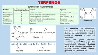 TERPENOS
Los Terpenos se denominan,
también, isoprenoides debido a que
derivan por polimerización lineal o
cíclica del Isopreno (2 metil, 1-3
butadieno)
Dentro del grupo destacan:
carotenos y xantofilas (pigmentos
fotosintéticos); algunas vitaminas
(A, E y K); aceites esenciales de
muchas plantas (timol, mentol,
geraniol, etc.); caucho, etc.
Isopreno
 