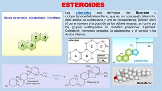 ESTEROIDES
Los esteroides son derivados del Esterano o
ciclopentanoperhidrofenantreno, que es un compuesto tetracíclico
(tres anillos de ciclohexano y uno de ciclopentano). Difieren entre
sí por el número y la posición de los dobles enlaces, así como por
los grupos sustituyentes en distintas posiciones. Ejemplos:
Colesterol, hormonas sexuales, la aldosterona y el cortisol y los
ácidos biliares.
Colesterol
 