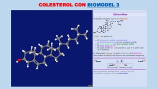 COLESTEROL CON BIOMODEL 3
 