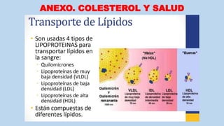 ANEXO. COLESTEROL Y SALUD
 