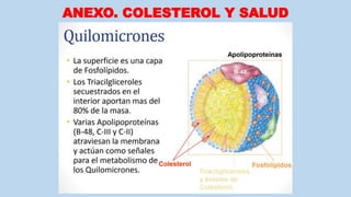 ANEXO. COLESTEROL Y SALUD
 