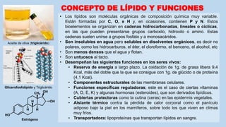 • Los lípidos son moléculas orgánicas de composición química muy variable.
Están formadas por C, O, e H y, en ocasiones, contienen P y N. Estos
bioelementos se organizan en cadenas hidrocarbonadas, lineales o cíclicas,
en las que pueden presentarse grupos carboxilo, hidroxilo o amino. Estas
cadenas suelen unirse a grupos fosfato y a monosacáridos.
• Son insolubles en agua pero solubles en disolventes orgánicos, es decir no
polares, como los hidrocarburos, el éter, el cloroformo, el benceno, el alcohol, etc
• Son menos densos que el agua y flotan.
• Son untuosos al tacto.
• Desempeñan las siguientes funciones en los seres vivos:
• Reserva de energía a largo plazo. La oxidación de 1g. de grasa libera 9,4
Kcal, más del doble que la que se consigue con 1g. de glúcido o de proteína
(4,1 Kcal).
• Componentes estructurales de las membranas celulares.
• Funciones específicas reguladoras; este es el caso de ciertas vitaminas
(A, D, E, K) y algunas hormonas (esteroides), que son derivados lipídicos.
• Cubiertas protectoras como la cutina (ceras) en las epidermis vegetales.
• Aislante térmico contra la pérdida de calor corporal como el panículo
adiposo bajo la piel en los mamíferos, sobre todo los que viven en climas
muy fríos.
• Transportadora: lipoproteínas que transportan lípidos en sangre.
CONCEPTO DE LÍPIDO Y FUNCIONES
Estrógeno
Aceite de oliva (triglicérido)
Glicerofosfolípido y Triglicérido
 