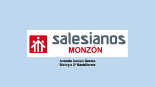 Antonio Campo Buetas
Biología 2º Bachillerato
 