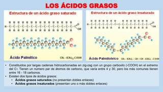 LOS ÁCIDOS GRASOS
• Constituidos por largas cadenas hidrocarbonadas en zig-zag con un grupo carboxilo (-COOH) en el extremo
del C1. Tienen un número par de átomos de carbono, que varía entre 4 y 30, pero los más comunes tienen
entre 16 - 18 carbonos.
• Existen dos tipos de ácidos grasos:
• Ácidos grasos saturados (no presentan dobles enlaces)
• Ácidos grasos insaturados (presentan uno o más dobles enlaces)
 