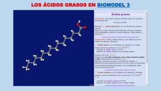 LOS ÁCIDOS GRASOS EN BIOMODEL 3
 