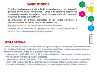 GANGLIOSIDOS
• Su estructura básica es similar a la de los cerebrósidos, pero la porción
glucídica es de mayor complejidad. Unida a la ceramida poseen una
cadena oligosacárida formada por varias hexosas y además una o más
moléculas de ácido siálico (NeuAc).
• Se encuentran en grandes cantidades en los tejidos nerviosos; al
parecer cumplen, funciones receptoras y de otro tipo.
• El gangliósido GM1 es receptor para la toxina del cólera.
• Defectos en la remoción de gangliósidos lleva a acumulación en el
cerebro y severas consecuencias neurológicas.
GM1
LIPOPROTEINAS
Puesto que los los lípidos son insolubles en agua, los lípidos no polares deben combinarse
con lípidos anfipáticos y proteínas para formar lipopoproteínas miscibles en agua para su
transporte entre los tejidos en el plasma sanguíneo acuoso.
- Lipoproteinas de Alta Densidad (HDL): liberan el colesterol innecesario (células y arterias)
y lo devuelven al hígado para ser excretado.
- Lipoproteinas de Baja Densidad (LDL): llevan el colesterol desde el hígado a las células,
incluyendo las paredes de las arterias. Esto contribuye al proceso de ateroesclerosis.
A niveles altos de LDL sérica existe mayor probabilidad para cardiopatías coronarias .
 
