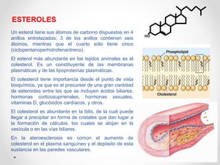 ESTEROLES
Un esterol tiene sus átomos de carbono dispuestos en 4
anillos entrelazados; 3 de los anillos contienen seis
átomos, mientras que el cuarto sólo tiene cinco
(ciclopentanoperhidrofenantreno).
El esterol más abundante en los tejidos animales es el
colesterol. Es un constituyente de las membranas
plasmáticas y de las lipoproteínas plasmáticas.
El colesterol tiene importancia desde el punto de vista
bioquímico, ya que es el precursor de una gran cantidad
de esteroides entre los que se incluyen ácidos biliares,
hormonas corticosuprrenales, hormonas sexuales,
vitaminas D, glucósidos cardíacos, y otros.
El colesterol es abundante en la bilis, de la cual puede
llegar a precipitar en forma de cristales que dan lugar a
la formación de cálculos, los cuales se alojan en la
vesícula o en las vías biliares.
En la ateroesclerosis es común el aumento de
colesterol en el plasma sanguíneo y el depósito de esta
sustancia en las paredes vasculares.
HO
 