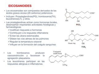 EICOSANOIDES
• Los eicosanoides son compuestos derivados de los
ácidos grasos eicosa (20 carbonos) polienoicos.
• Incluyen: Prosataglandinas(PG), tromboxanos(TX),
leucotrienos(LT), y otros.
• Las prostaglandinas actúan como hormonas locales,
desempeñan importantes actividades fisiológicas y
farmacológicas:
✓modifican respuesta a hormonas
✓Contribuyen a la respuesta inflamatoria
✓Evitan las úlcera estomacales
✓Dilatan las vías aéreas de los pulmones
✓Regulan la temperatura corporal
✓Influyen en la formación del coágulo sanguíneo
• Los tromboxanos producen
vasoconstricción y favorecen la
agregación plaquetaria.
• Los leucotrienos participan en las
respuestas alérgicas e inflamatorias.
 