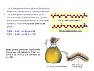 (b) Acido graso insaturaado
doble enlace cis
causa bending
• Los ácidos grasos insaturados (AGI) contienen
átomos de carbono unidos por dobles enlaces.
▪ Los ácidos grasos poliinsaturados (AGP)
con dos o más dobles enlaces, son líquidos
a temperatura ambiente. Entre los principales
tenemos a los ácidos grasos esenciales
(AGE).
C18:2 ácido Linoleico (ώ6)
C18:3 ácido Linolénico (ώ3)
Estas grasas producen importantes
descensos del colesterol total, así
como el de las LDL y el aumento de
las HDL.
ACIDO LINOLEICO (OMEGA 6)
ACIDO LINOLENICO (OMEGA 3)
 