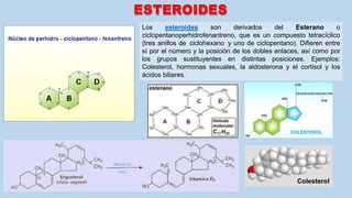 ESTEROIDES
Los esteroides son derivados del Esterano o
ciclopentanoperhidrofenantreno, que es un compuesto tetracíclico
(tres anillos de ciclohexano y uno de ciclopentano). Difieren entre
sí por el número y la posición de los dobles enlaces, así como por
los grupos sustituyentes en distintas posiciones. Ejemplos:
Colesterol, hormonas sexuales, la aldosterona y el cortisol y los
ácidos biliares.
Colesterol
 