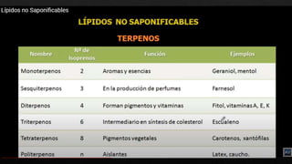lipidos.pptx