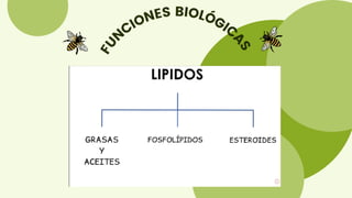F
U
N
CIONES BIOLÓGIC
A
S
 