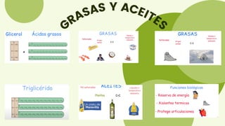 GRASAS Y ACEITES
 