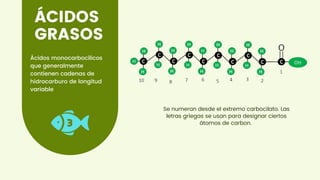 ÁCIDOS
GRASOS
Ácidos monocarbocílicos
que generalmente
contienen cadenas de
hidrocarburo de longitud
variable
Se numeran desde el extremo carbocilato. Las
letras griegas se usan para designar ciertos
átomos de carbon.
 