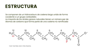 ESTRUCTURA
La mayoría de los ácidos grasos naturales tienen un número par de
átomos de carbono que forma parte de una cadena no ramificada
Se componen de un hidrocarburo de cadena larga unida de forma
covalente a un grupo carboxilato.
 