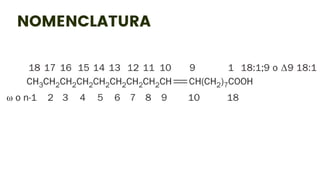 NOMENCLATURA
 