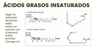 ÁCIDOS GRASOS INSATURADOS
Según la
ubicación
del primer
doble
enlace en
relación con
el extremo
metilo
terminal
(Omega w).
 