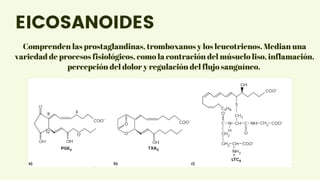 Comprenden las prostaglandinas, tromboxanos y los leucotrienos. Median una
variedad de procesos fisiológicos, como la contración del músuclo liso, inflamación,
percepción del dolor y regulación del flujo sanguíneo.
EICOSANOIDES
 