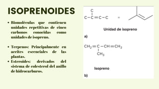 Biomoléculas que contienen
unidades repetitivas de cinco
carbonos conocidas como
unidades de isopreno.
Terpenos: Principalmente en
aceites escenciales de las
plantas.
Esteroides: derivados del
sistema de colesterol del anillo
de hidrocarburos.
ISOPRENOIDES
 