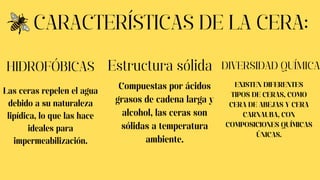 CARACTERÍSTICAS DE LA CERA:
HIDROFÓBICAS
Las ceras repelen el agua
debido a su naturaleza
lipídica, lo que las hace
ideales para
impermeabilización.
Estructura sólida
Compuestas por ácidos
grasos de cadena larga y
alcohol, las ceras son
sólidas a temperatura
ambiente.
DIVERSIDAD QUÍMICA
EXISTEN DIFERENTES
TIPOS DE CERAS, COMO
CERA DE ABEJAS Y CERA
CARNAUBA, CON
COMPOSICIONES QUÍMICAS
ÚNICAS.
 