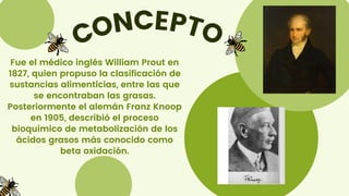CONCEPTO
Fue el médico inglés William Prout en
1827, quien propuso la clasificación de
sustancias alimenticias, entre las que
se encontraban las grasas.
Posteriormente el alemán Franz Knoop
en 1905, describió el proceso
bioquímico de metabolización de los
ácidos grasos más conocido como
beta oxidación.
 