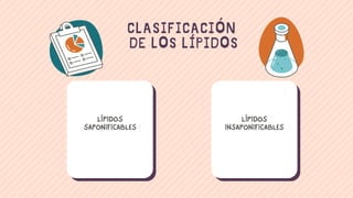 LÍPIDOS
SAPONIFICABLES
CLASIFICACIÓN
DE LOS LÍPIDOS
LÍPIDOS
INSAPONIFICABLES
 