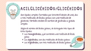 Son lípidos simples formados por la esterificación de una, dos
o tres moléculas de ácidos grasos con una molécula de
glicerina. También reciben el nombre de glicéridos o grasas
simples
ACILGLICÉRIDOS/GLICÉRIDOS
Los monoglicéridos, que contienen una molécula de ácido
graso
Los diglicéridos, con dos moléculas de ácidos grasos
Los triglicéridos, con tres moléculas de ácidos grasos.
Según el número de ácidos grasos, se distinguen tres tipos de
estos lípidos:
 